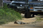 Wilpattu National Park