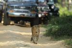 Wilpattu National Park