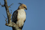 Wilpattu National Park