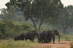 Notes on Field Trips Wilpattu National Park