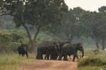 Notes on Field Trips Wilpattu National Park