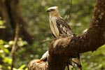 Notes on Field Trips Wilpattu National Park