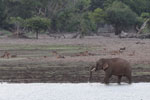 Wilpattu National Park 30th September to 7th October 2023