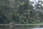 Notes on Field Trips Wilpattu National Park