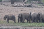 Wilpattu National Park 9th  - 10th  September 2023