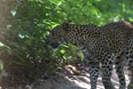 Notes on Field Trips Wilpattu National Park