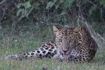 Notes on Field Trips Wilpattu National Park