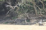 Notes on Field Trips Wilpattu National Park