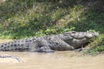 Notes on Field Trips Wilpattu National Park