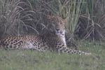 Notes on Field Trips Wilpattu National Park